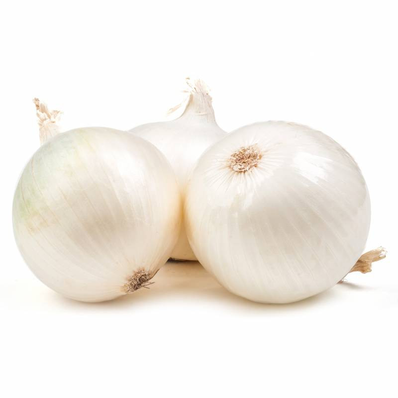 Cebolla blanca